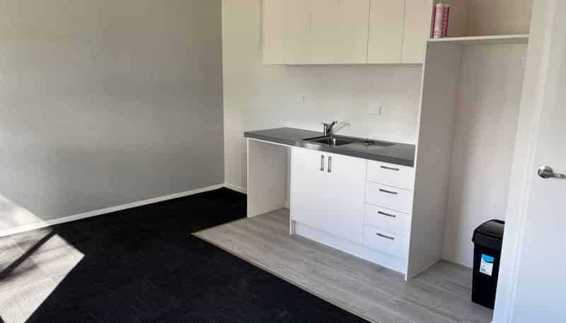 2B/5 Bush Street, Levin