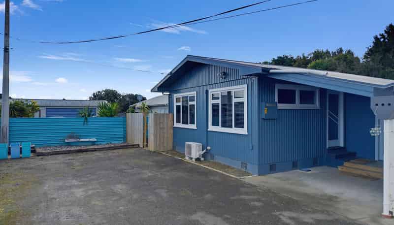 1/42a Geddis Ave, Maraenui