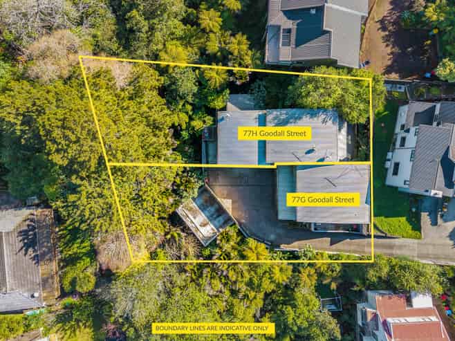 77H Goodall Street, Hillsborough