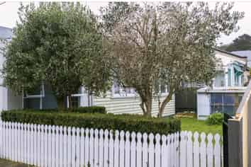 3 Hector Street, Petone