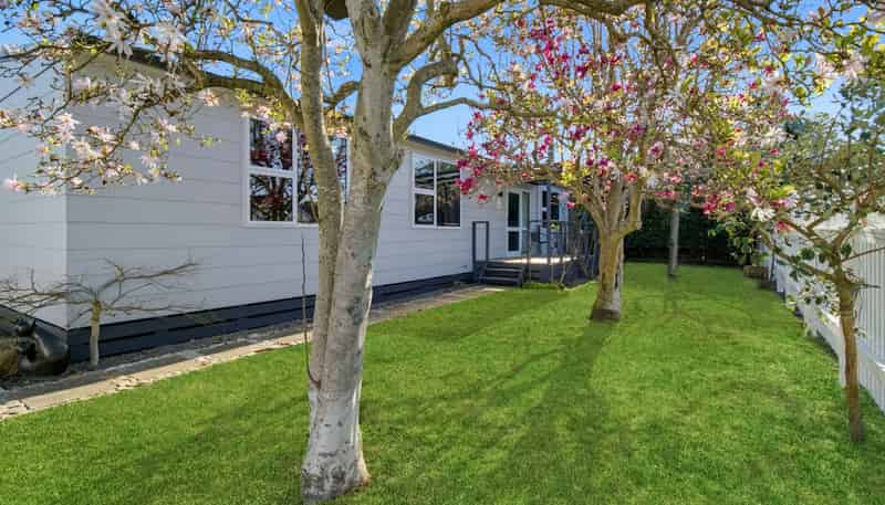 804 Francis Hicks Avenue, Raureka