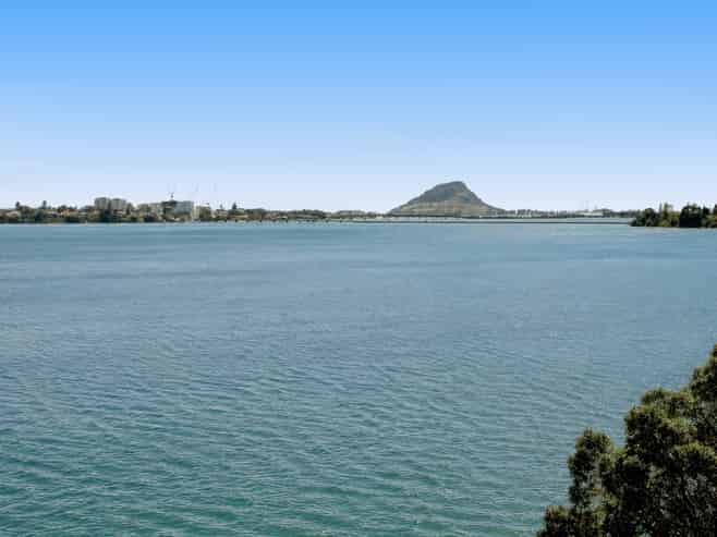 330 Maungatapu Road, Maungatapu