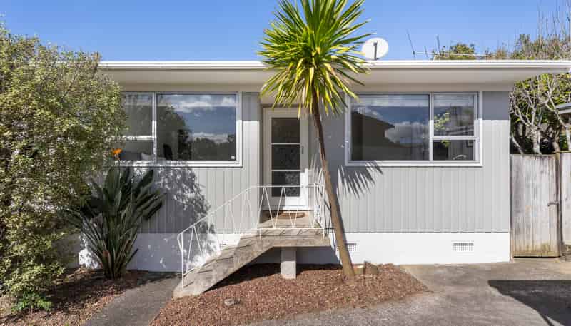 6/7 Willerton Avenue, New Lynn