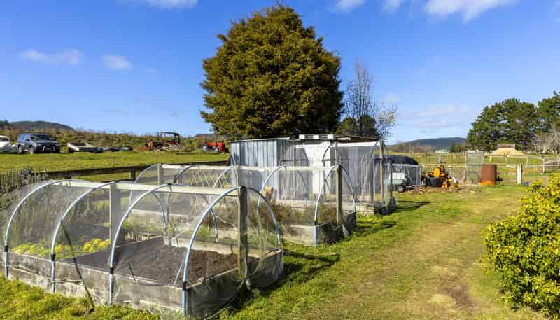 160 White Road, Broadlands Forest
