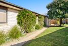 53 Coopers Road, Gate Pa, Tauranga, Bay of Plenty