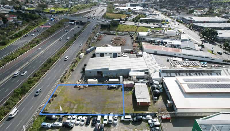 Yard | 116 Stoddard Road, Mount Roskill