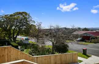 161 Wellington Street, Pukekohe