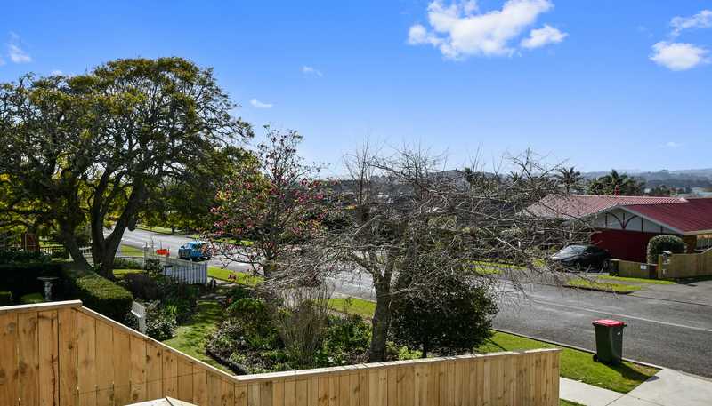 161 Wellington Street, Pukekohe