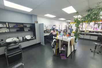 Affordable Mt Albert Hair Salon Retail Space