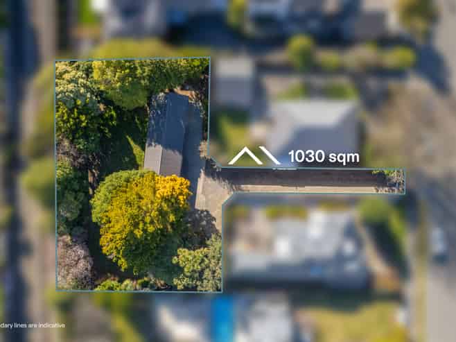 41 Clifford Avenue, Fendalton