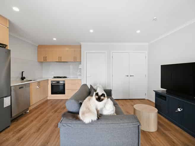 4/89 Cameron Road, Hamilton East