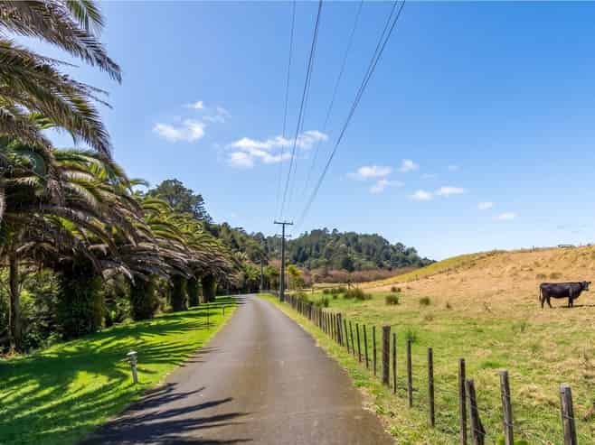 16 Stevensons Crescent, Albany