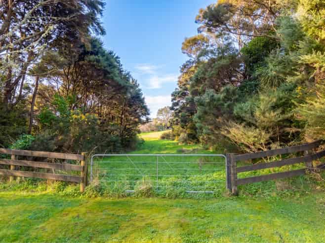 16 Stevensons Crescent, Albany