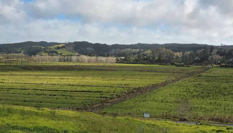 11 Davidson Road, Waimauku