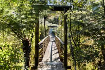 Rare New Zealand Sanctuary. A Proven Tourism Asset