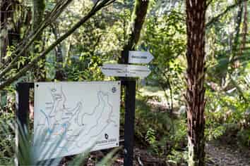 Rare New Zealand Sanctuary. A Proven Tourism Asset