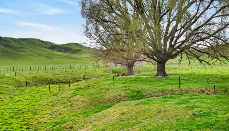 326 Kawera Road, Pukehamoamoa