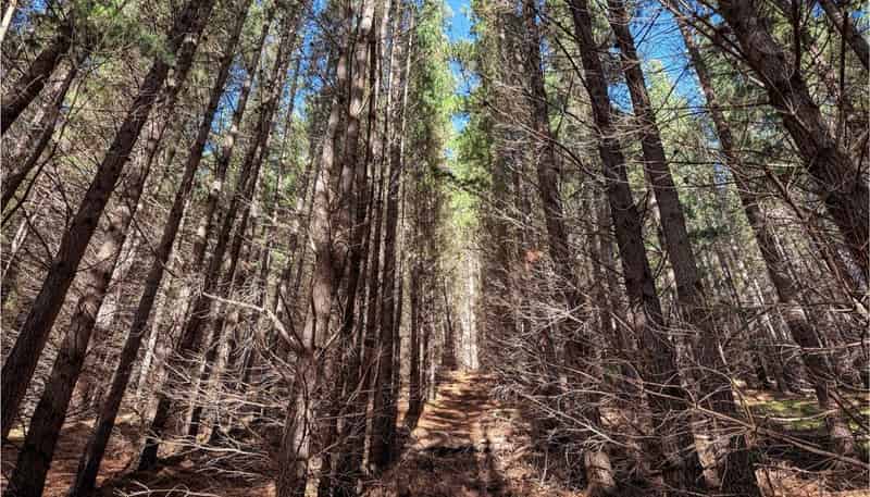  210 Blythe Road, Greta Valley
