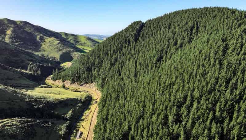 210 Blythe Road, Greta Valley