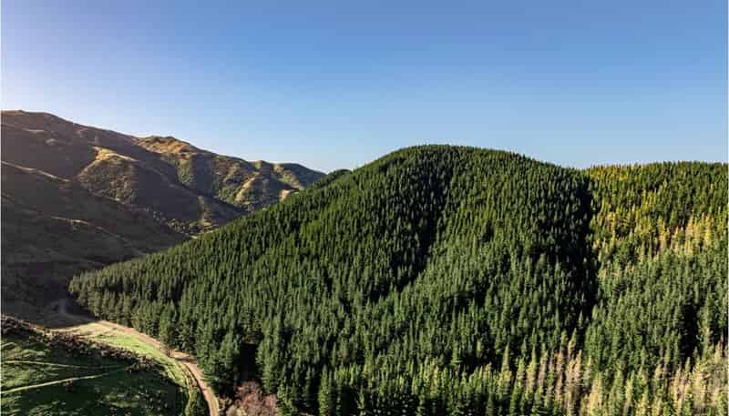  210 Blythe Road, Greta Valley