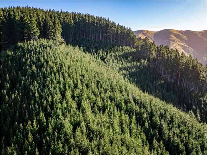  210 Blythe Road, Greta Valley