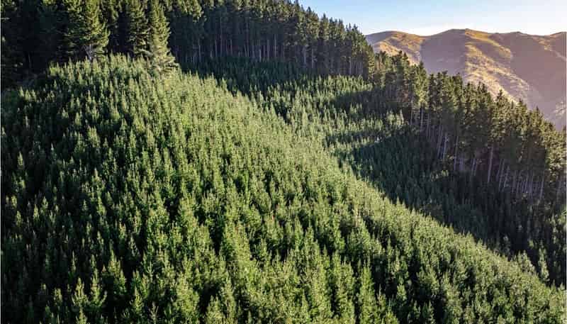  210 Blythe Road, Greta Valley