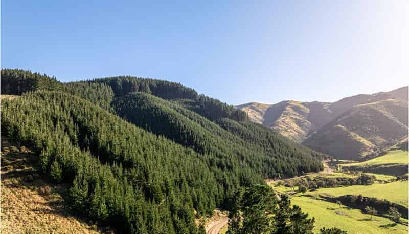  210 Blythe Road, Greta Valley