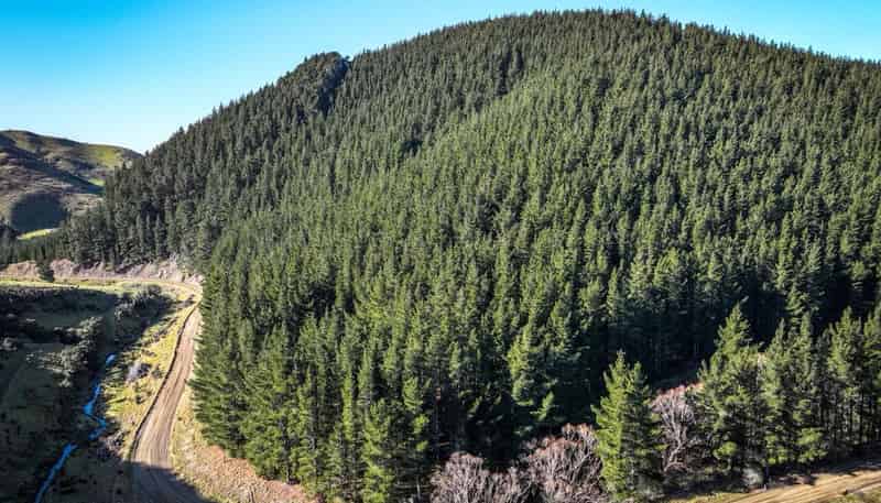  210 Blythe Road, Greta Valley