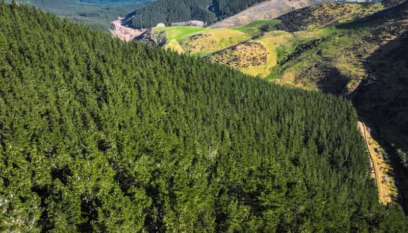  210 Blythe Road, Greta Valley