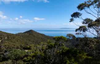 LOT 2 303 Waiaua Road, Hihi