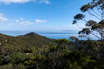 LOT 2 303 Waiaua Road, Hihi