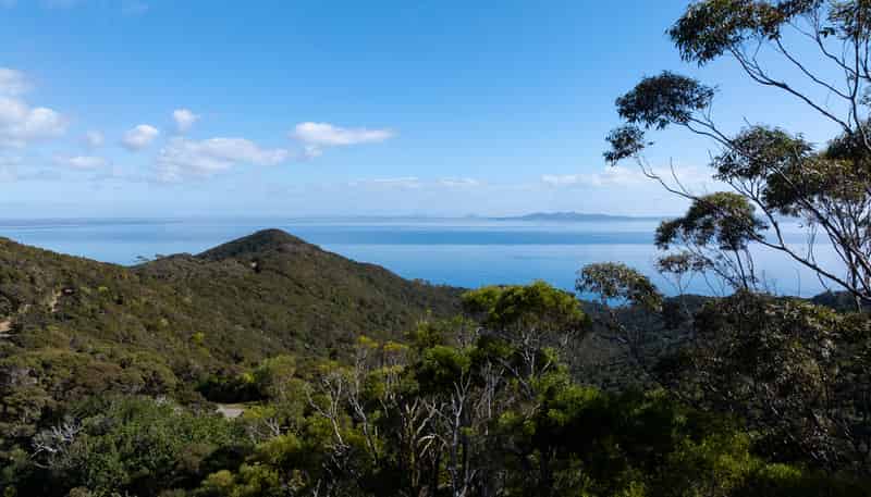 LOT 2 303 Waiaua Road, Hihi