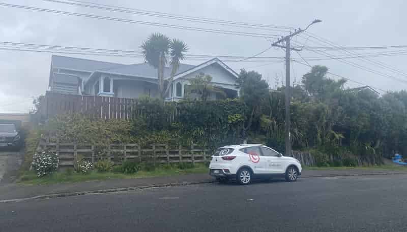 17 Birdwood Avenue, Moturoa