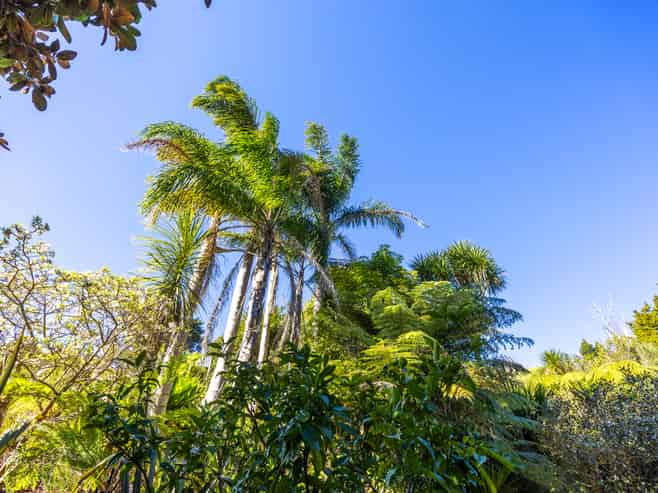 130 Dennis Road, Warkworth