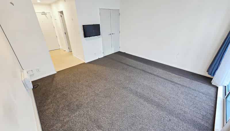 310/163 The Terrace, Te Aro