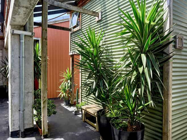 11/101-107 Cuba Street, Wellington Central