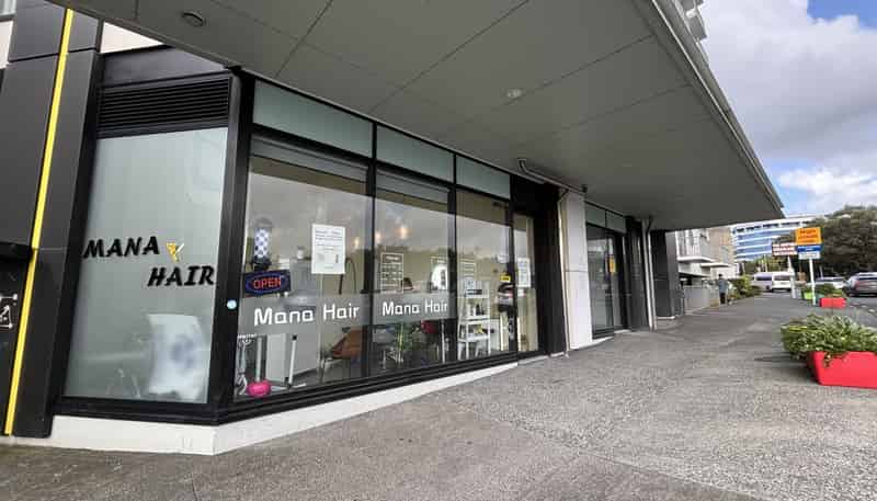 Unit A/15 Union Street, Auckland Central