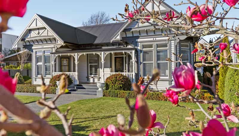  172 Peterborough Street, Christchurch Central