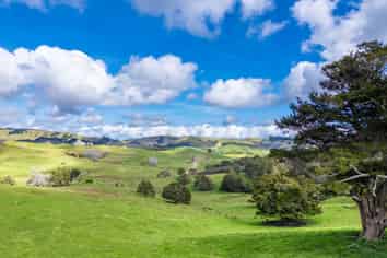 325b Haruru Road, Wainui