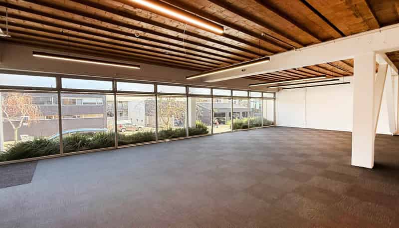 17 Maidstone Street, Grey Lynn