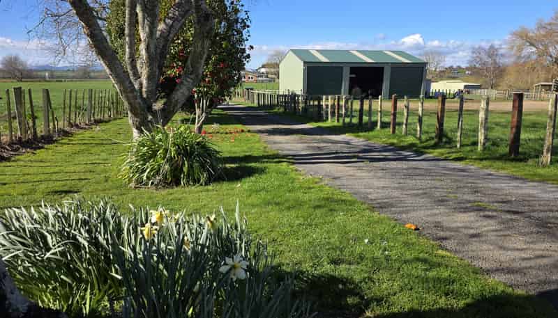 2/4798 Ohaupo Road, Te Awamutu