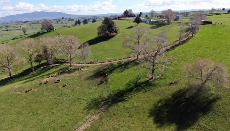 2/4798 Ohaupo Road, Te Awamutu