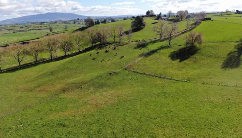 2/4798 Ohaupo Road, Te Awamutu