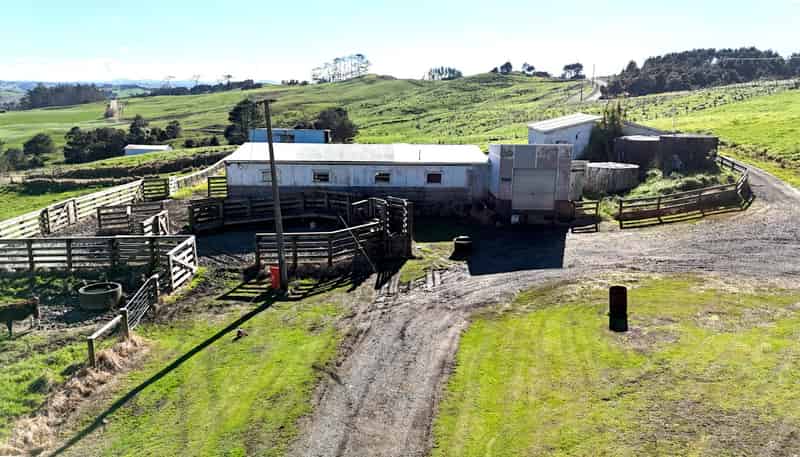 115 Biddle Road, Wellsford
