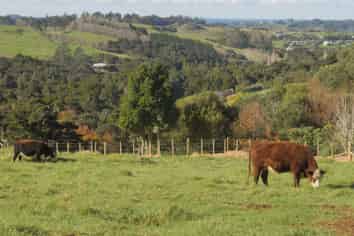 Lot 2, 404 Tara Road, Mangawhai