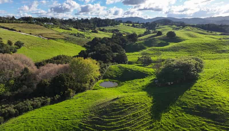 Lot 2, 404 Tara Road, Mangawhai
