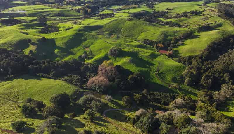 Lot 2, 404 Tara Road, Mangawhai