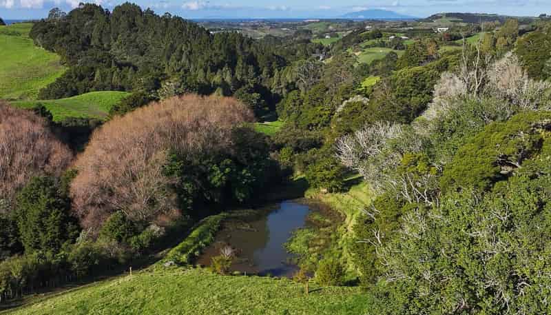 Lot 2, 404 Tara Road, Mangawhai