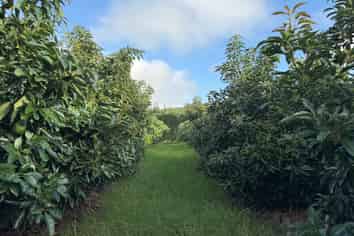 3146 Far North Road, Pukenui