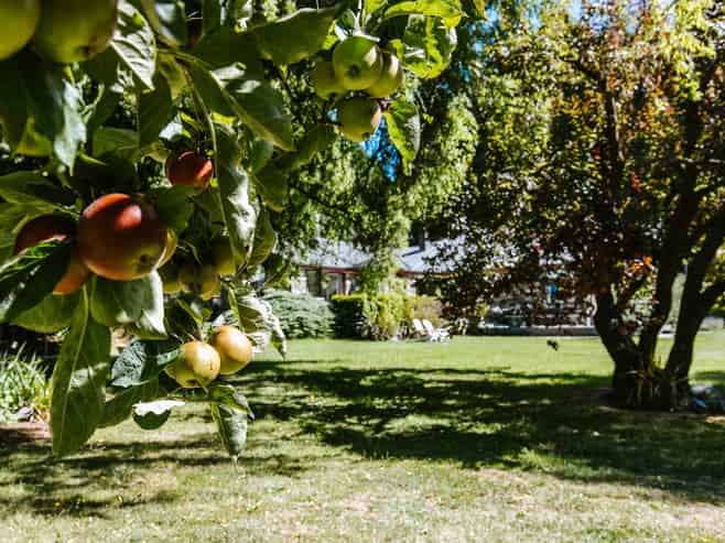 2127b Cardrona Valley Road, Wanaka